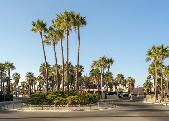 Salgados Premium By Da'home * 알부페이라